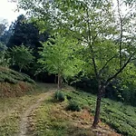 Joe\'S Farm