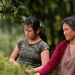 Mamring Home Stay - Philamon Mukhia
