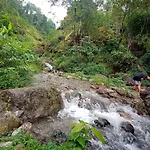 Mamring Home Stay - Philamon Mukhia