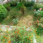 Pinewood Homestay Dali