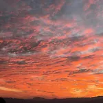 Jasmine Homestay Darjeeling