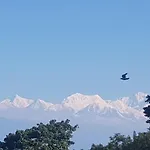 Mamta Homestay