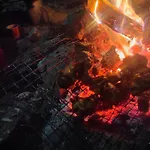 Wood Locs Farm Stay & Campsite