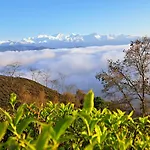 Rajpankchi Junglestay