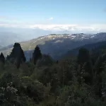 Brothers Homestay