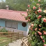 Joe\'S Farm