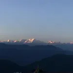 Surya Homestay - Rural Tea Garden Homestay