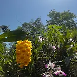 Satvik Jungle Farms