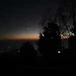 Forest Imax