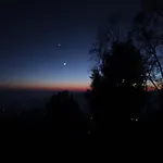 Forest Imax