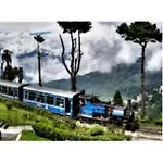 Jambling Sherpa Homestay , Darjeeling