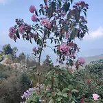 Khaling Homestay