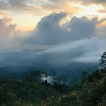 Tamanna Homestay