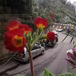 Bina Home Stay Darjeeling