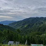 Cozy Nest Homestay