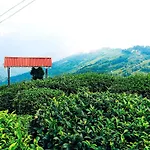 Misty Mountain Homestay, Darjeeling
