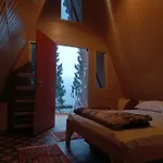 Cozy Nest Homestay