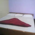 Hotel Alpine