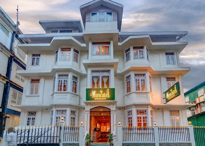 Muscatel Spring Burn - 100 Mts From Mall Road