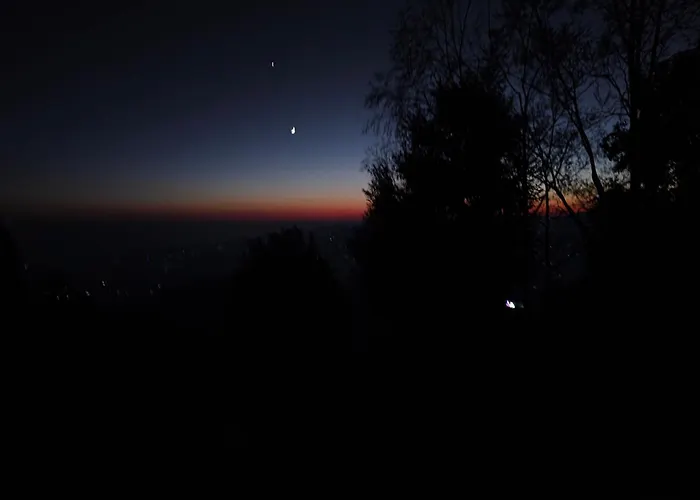 Forest Imax