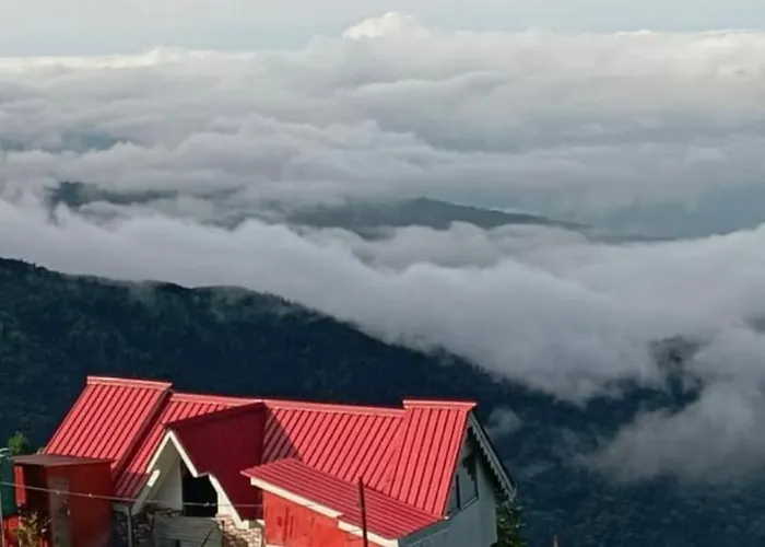 Mist & Dew Homestay