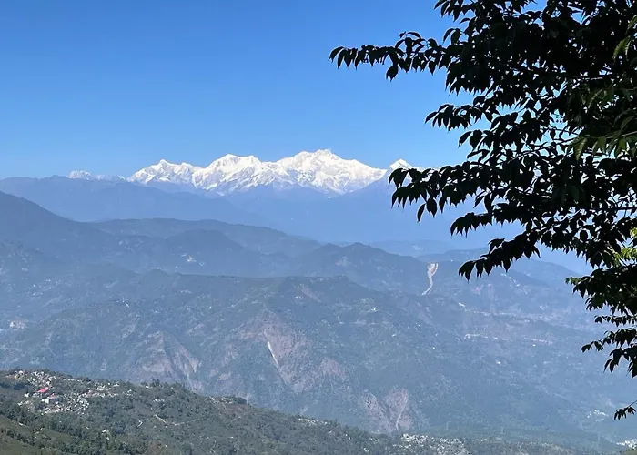 Forest Lodge - 80 Mts From Mall Road