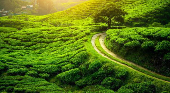 Gateway Residency Darjeeling (West Bengal)