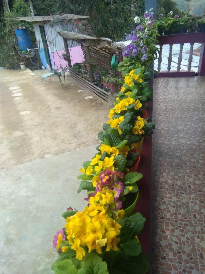Joe's Farm Farm stay Darjeeling (West Bengal)