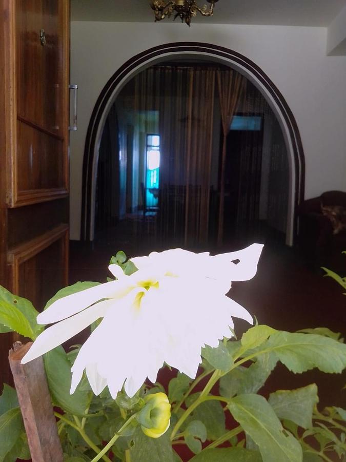 Pradhan Niwas Homestay *