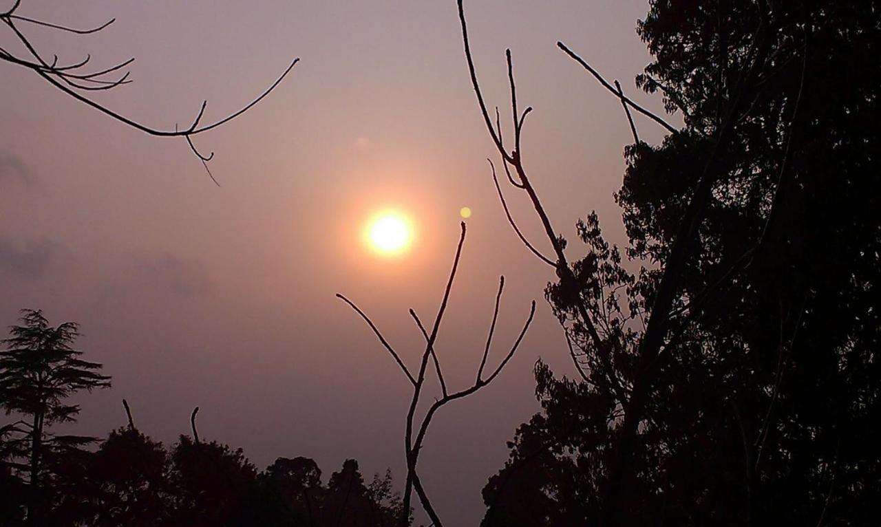 Pradhan Niwas * Darjeeling (West Bengal)