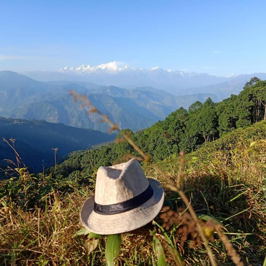 Joe's Farm * Darjeeling (West Bengal)