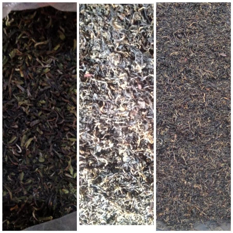 Joe's Farm Darjeeling (West Bengal)