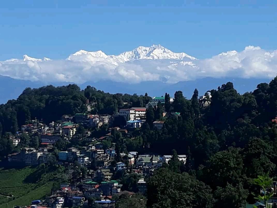 Yuma D Darjeeling (West Bengal)
