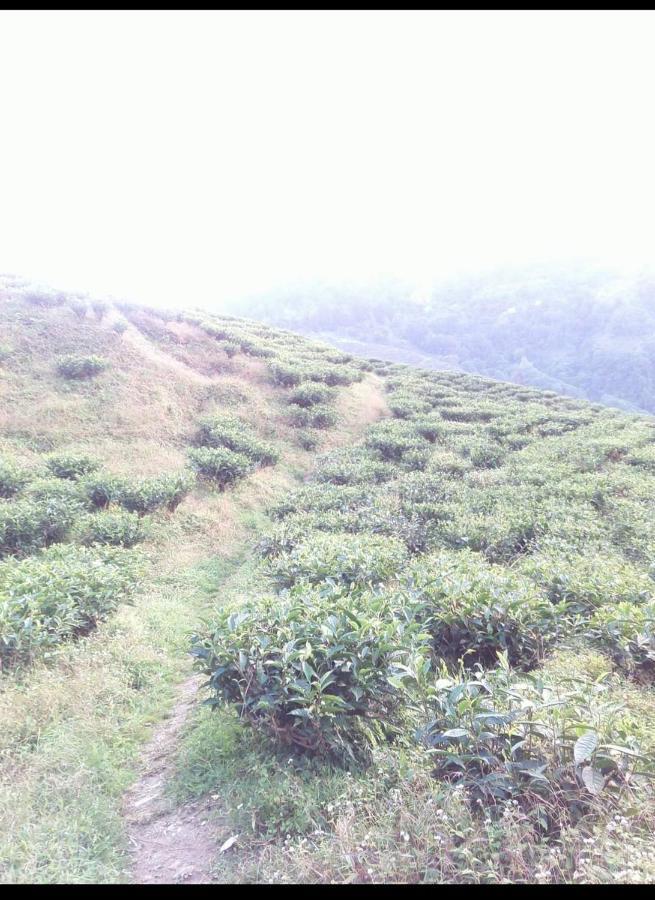 Joe's Farm Farm stay Darjeeling (West Bengal)
