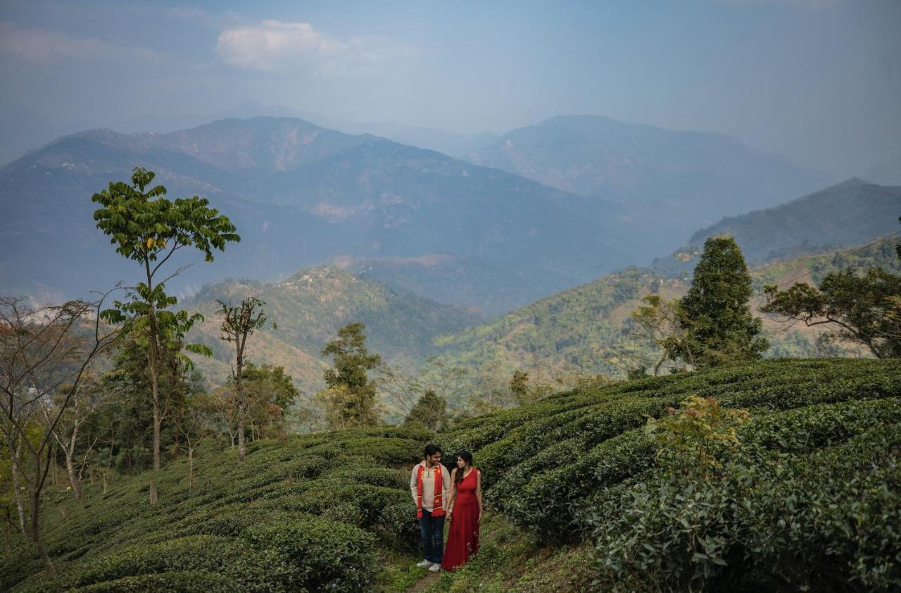 Singtom Tea Estate & Resort Darjeeling (West Bengal)
