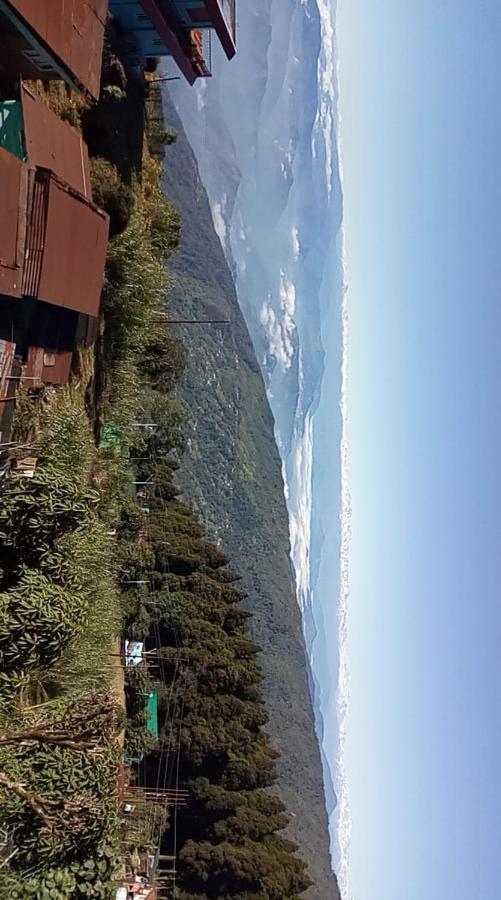 Homestay Vamoose Dikis *