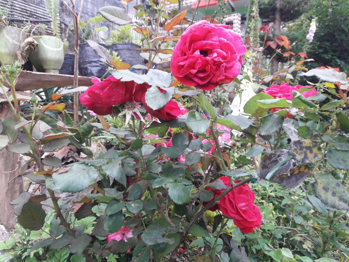 Kabiraalaya Homestay Darjeeling (West Bengal)
