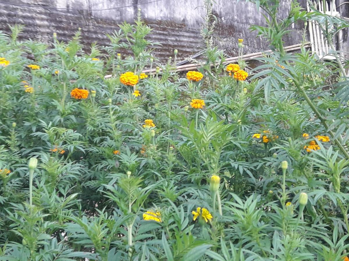 Homestay Kabiraalaya Darjeeling (West Bengal)