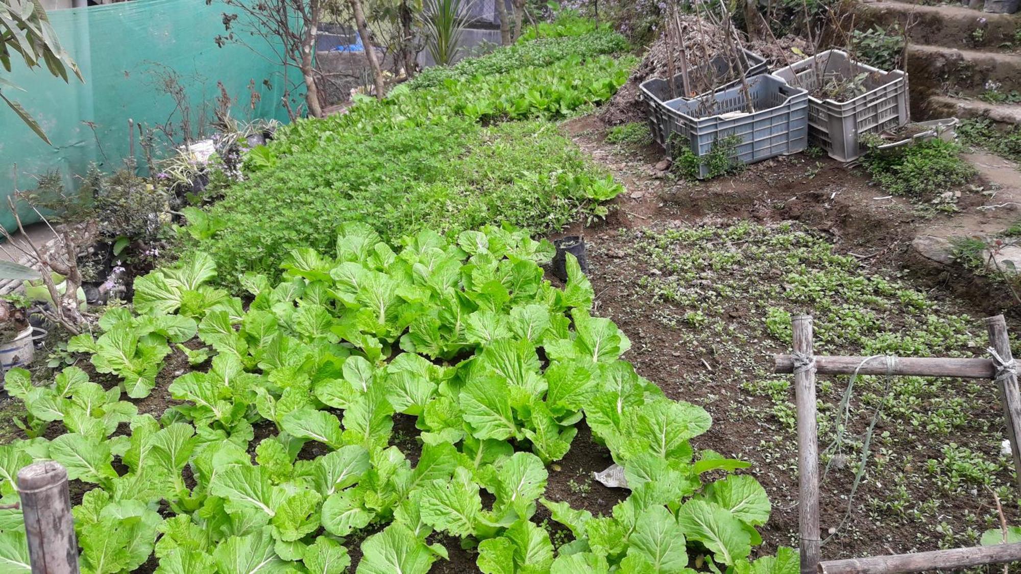Kabiraalaya Darjeeling (West Bengal)