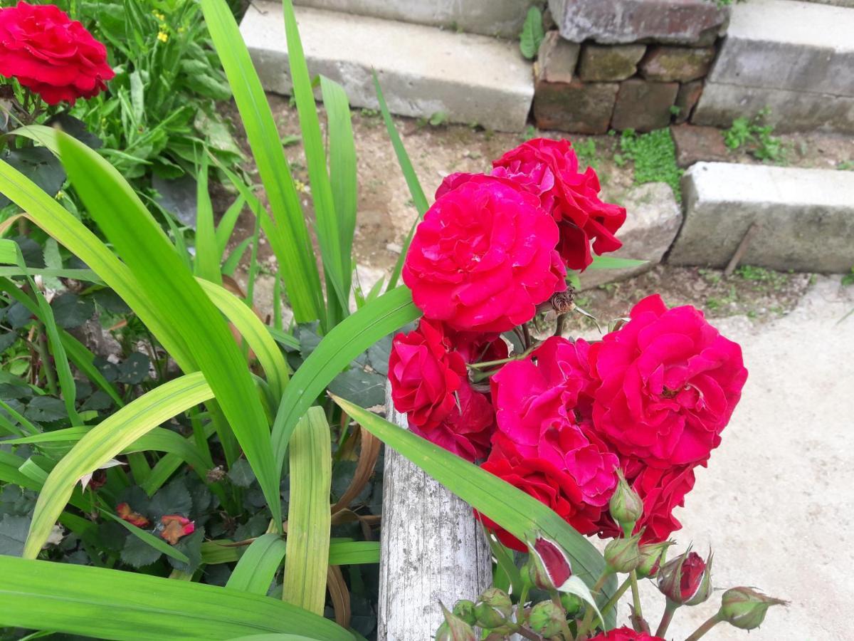 Kabiraalaya Homestay Darjeeling (West Bengal)