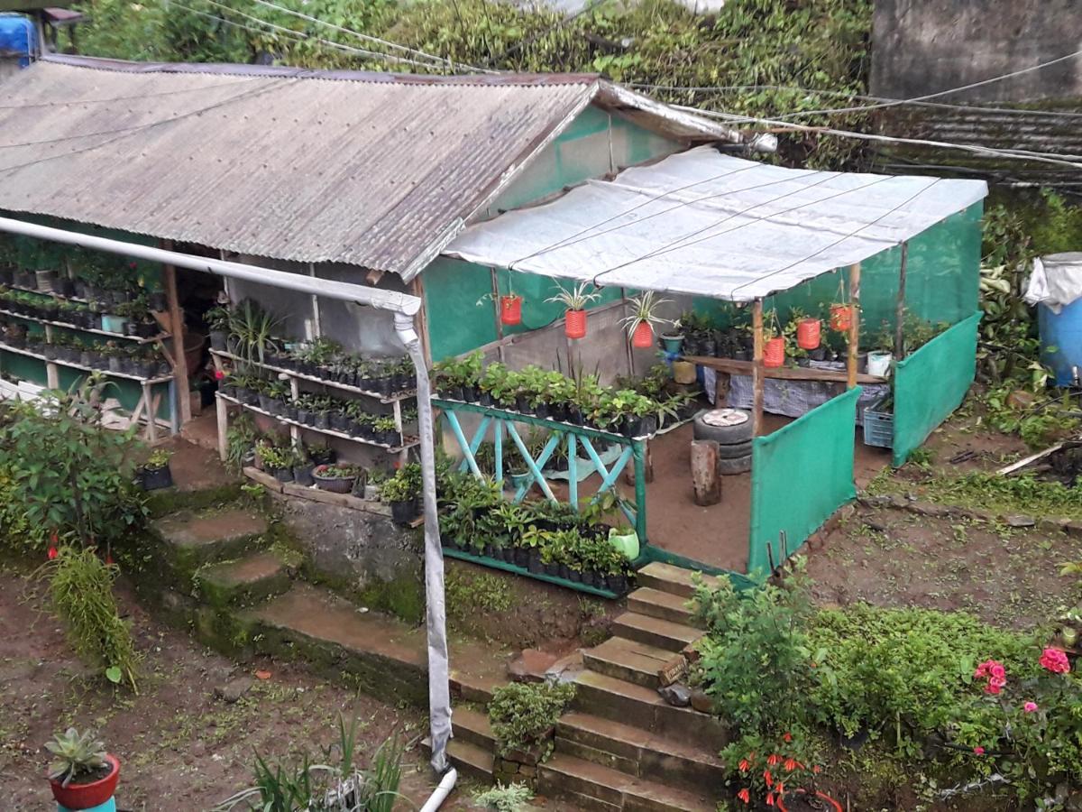 Kabiraalaya Homestay *