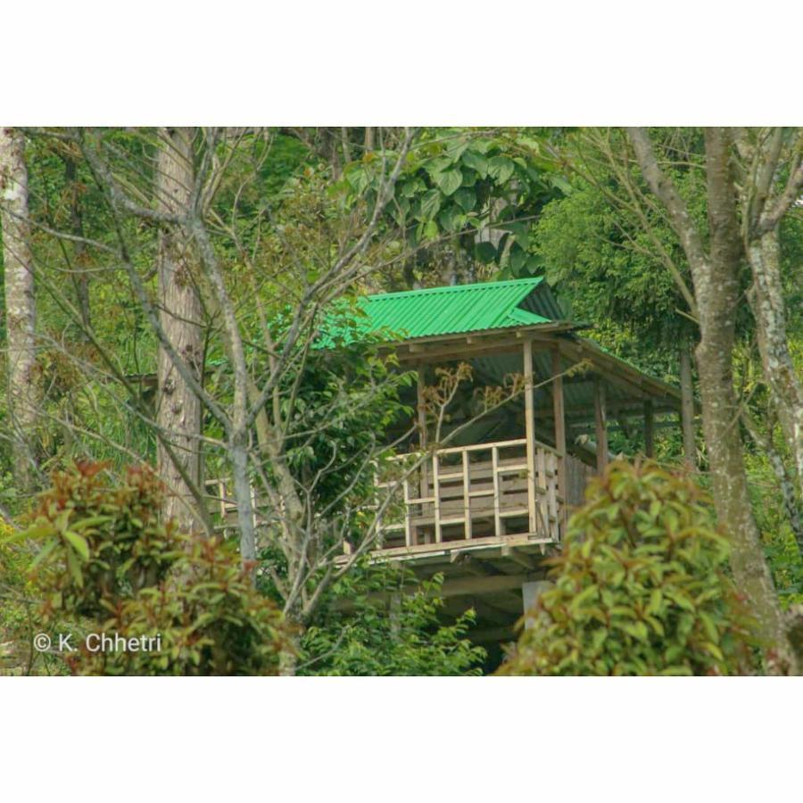 Suma Aavaas Farmstay Farm stay Darjeeling (West Bengal)