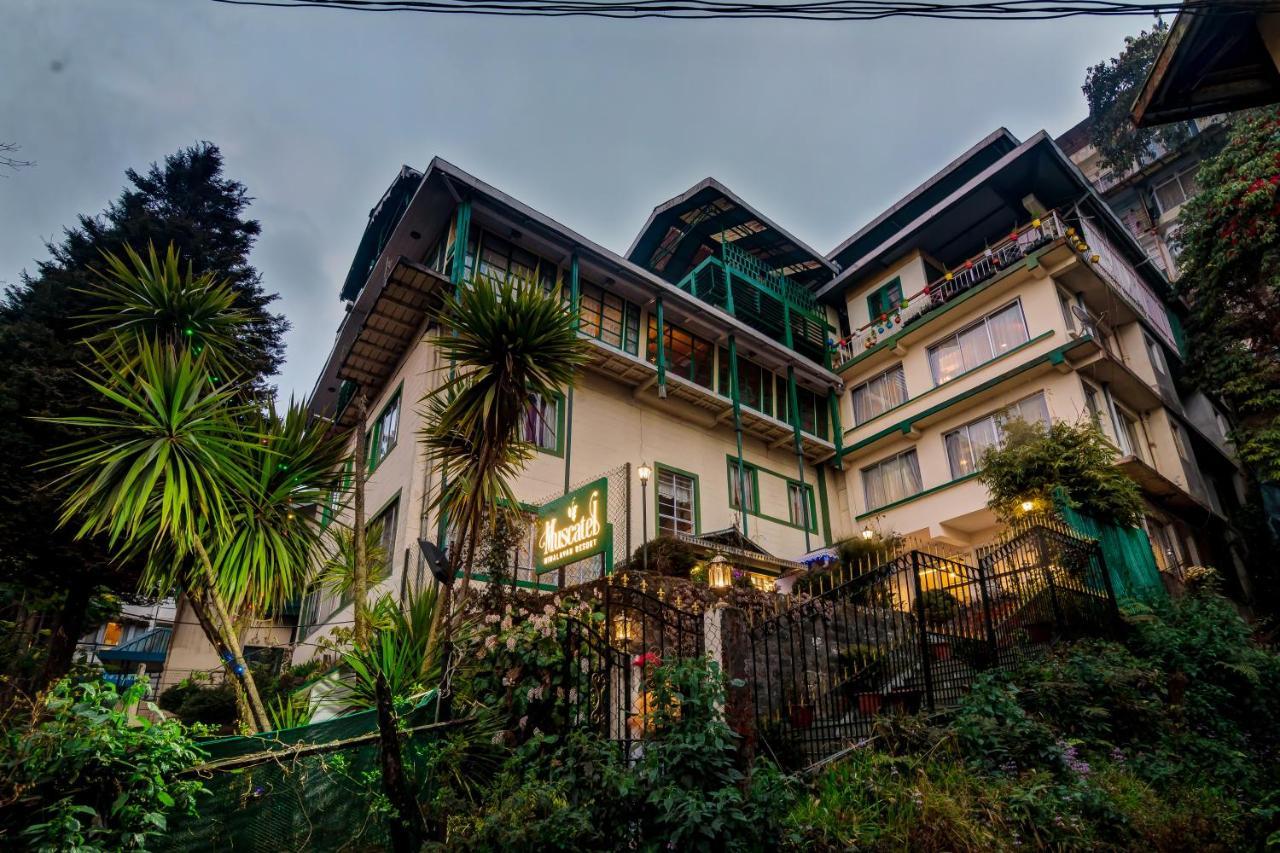 Muscatel Himalayan - 400 Mts From Mall Road Darjeeling (West Bengal)