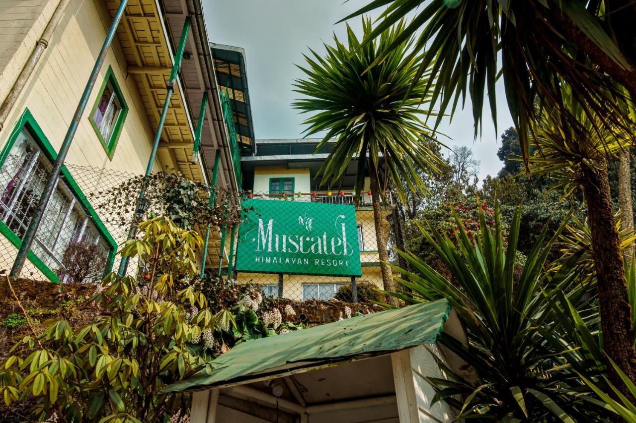 Muscatel Himalayan - 400 Mts From Mall Road 3*