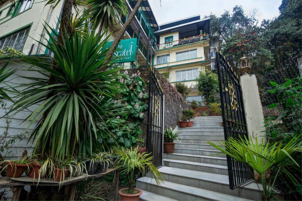 Muscatel Himalayan - 400 Mts From Mall Road Resort