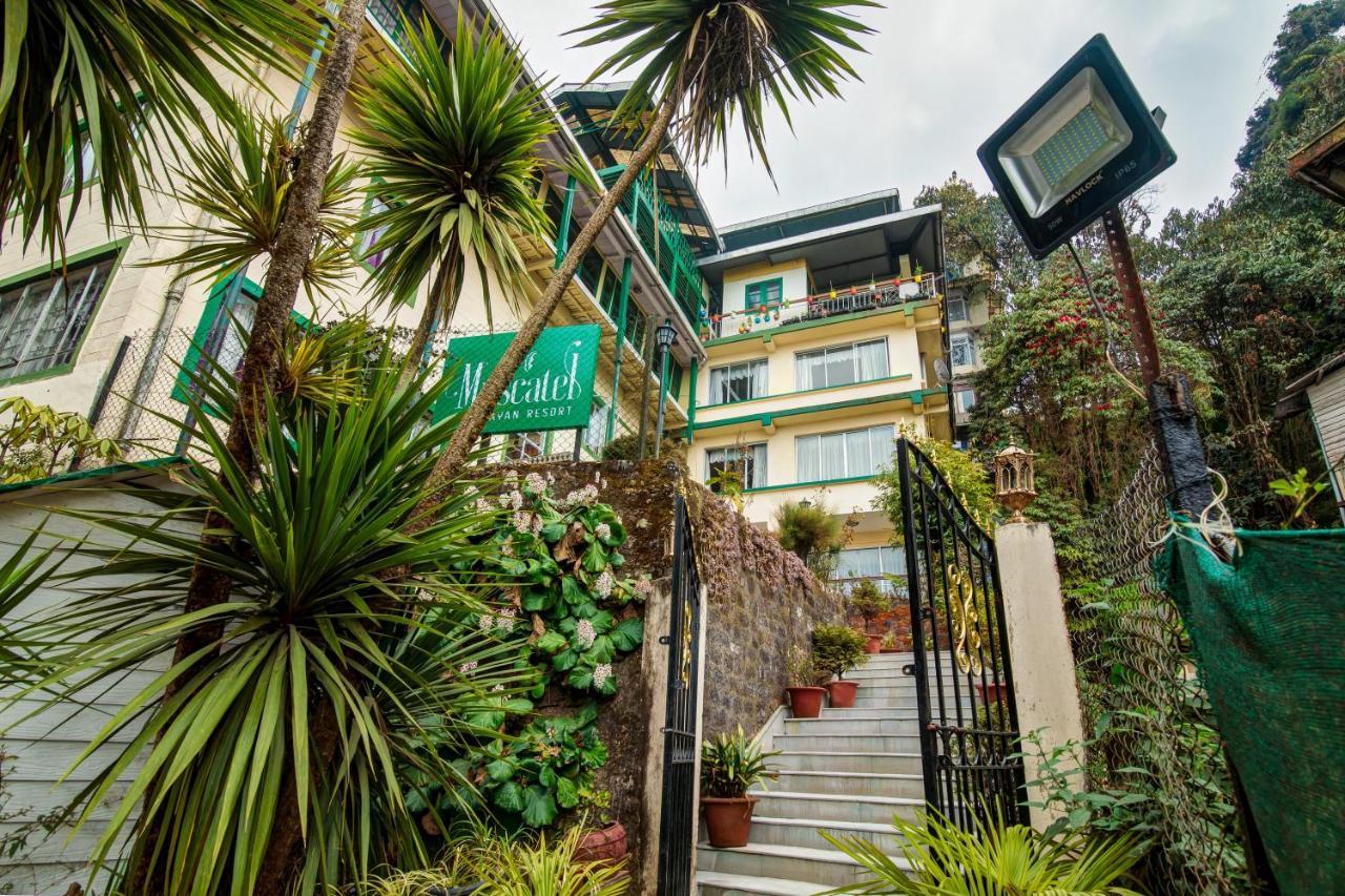 Resort Muscatel Himalayan - 400 Mts From Mall Road