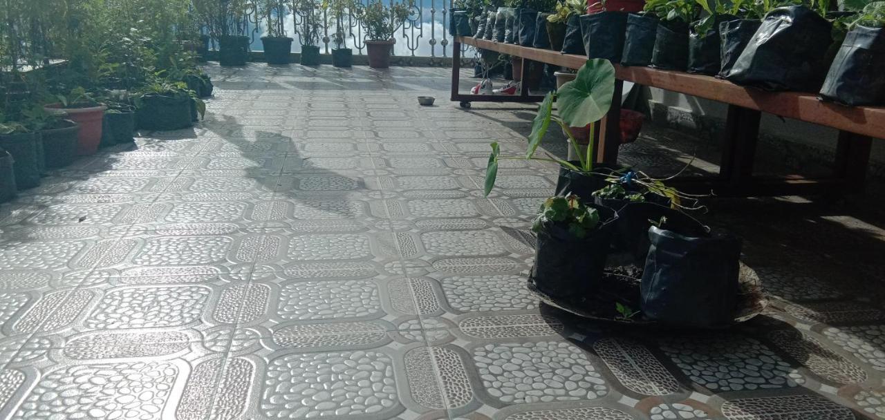 Homestay Rise N Shine *