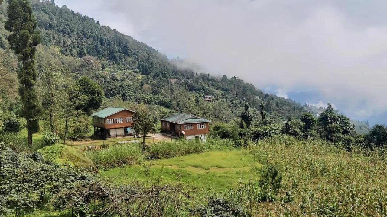 Escapade * Darjeeling (West Bengal)
