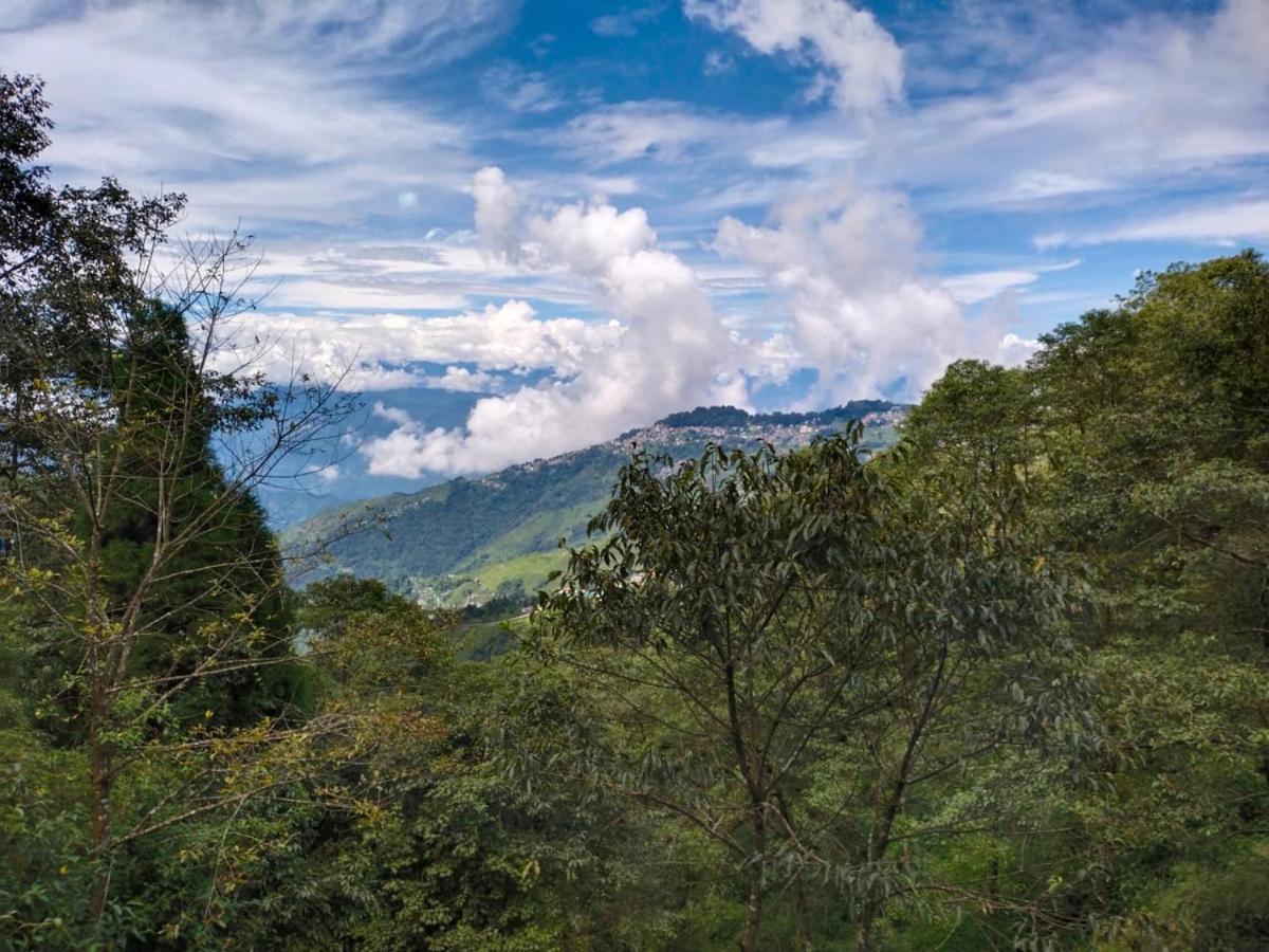Himalaya Residency Kanchenjunga View 3*