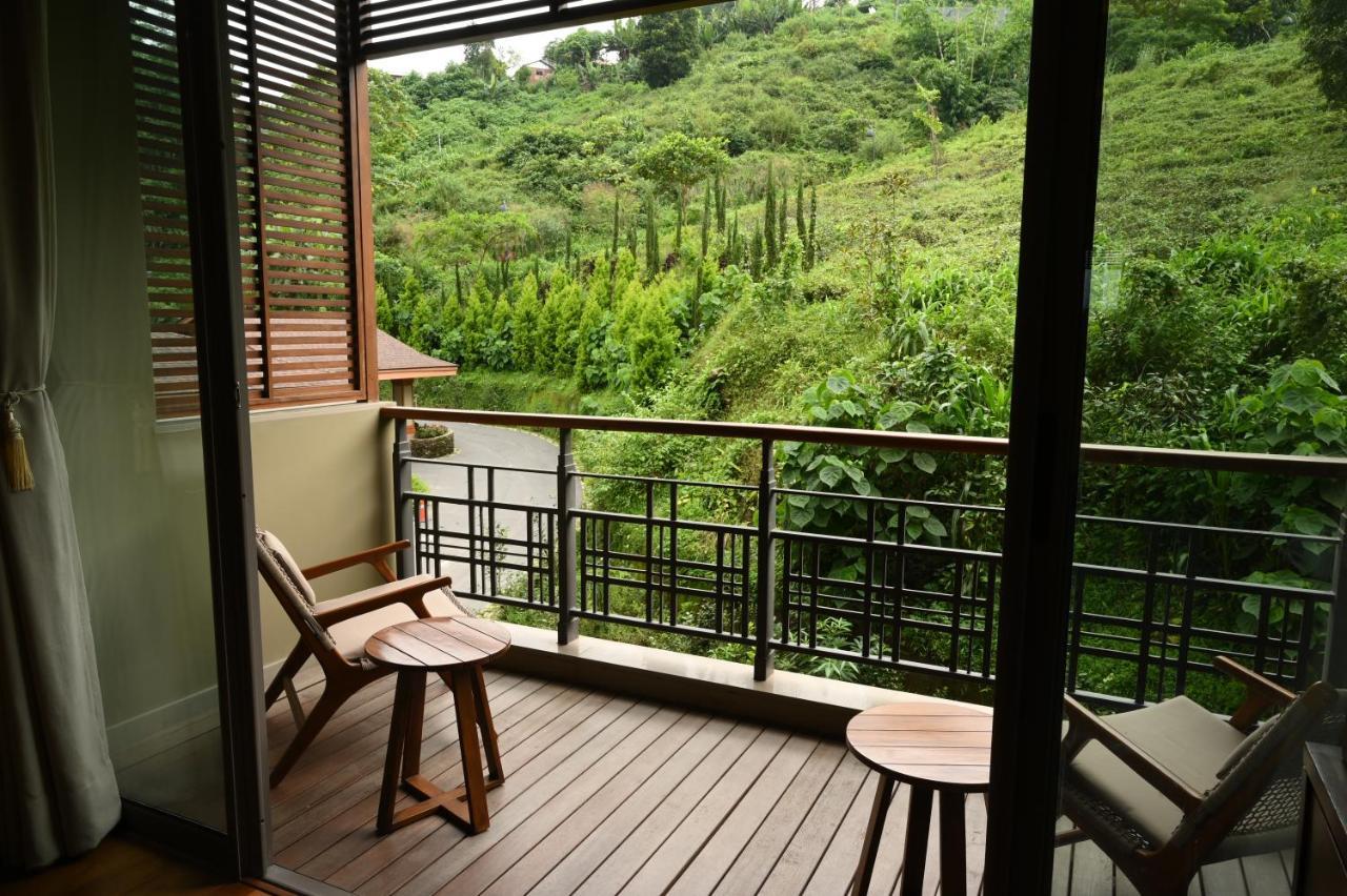 Taj Chia Kutir & Darjeeling